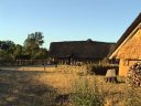 DSC00350.jpg